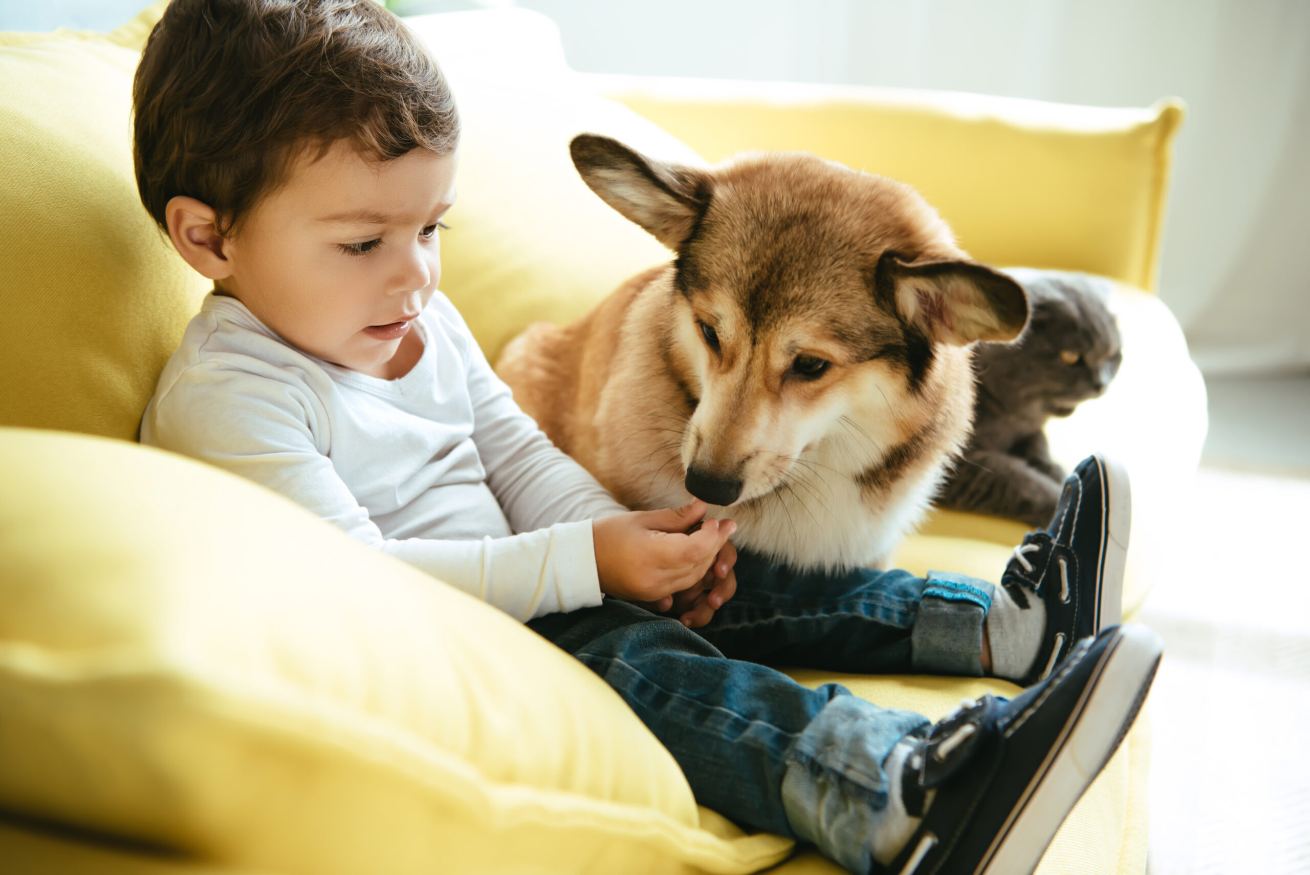Benefits of Pets in Children with Autism